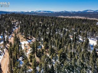 161 Pinewood Rd, Florissant, CO 80816