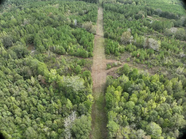 0 Wilburn Dyess Rd, Oak Vale, MS 39656