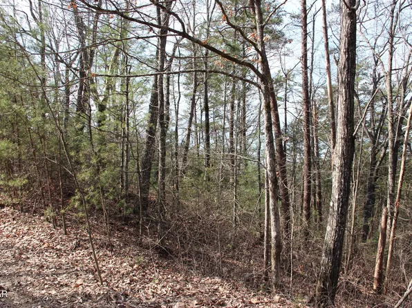 19 Ridge View Dr Lot 19, Sevierville, TN 37876