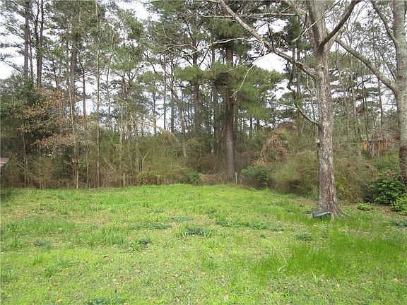 View of the back yard looking north.