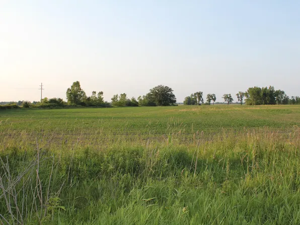 Tamarack Rd, Hudson, MI 49247