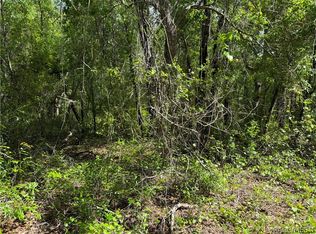 112 S Crestview Ave, Inverness, FL 34452