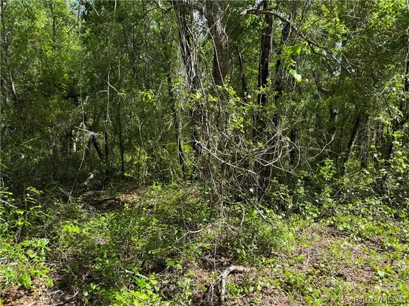 112 S Crestview Ave, Inverness, FL 34452