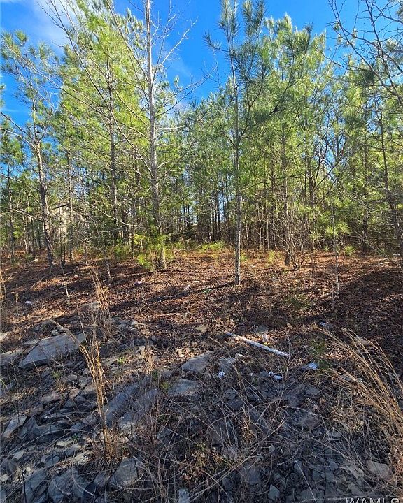 2nd image of 28 Timbertop Ln