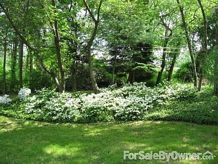 Side Yard
						:
						Spring in Bloom