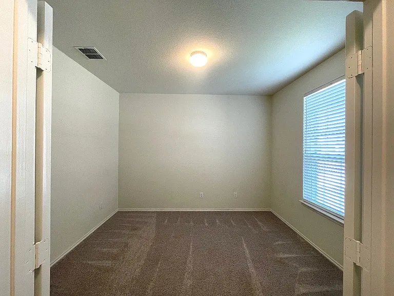 208 Texas Thistle — Photo 12