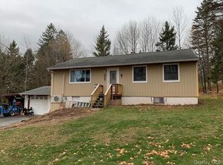 37 Youngs Hill Rd, Liberty, NY 12754