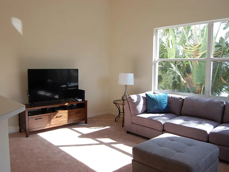 Comfortable Family Room
