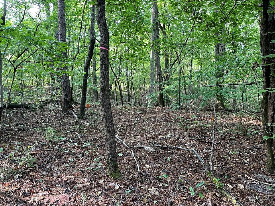 1st image of 1035 County Road 450