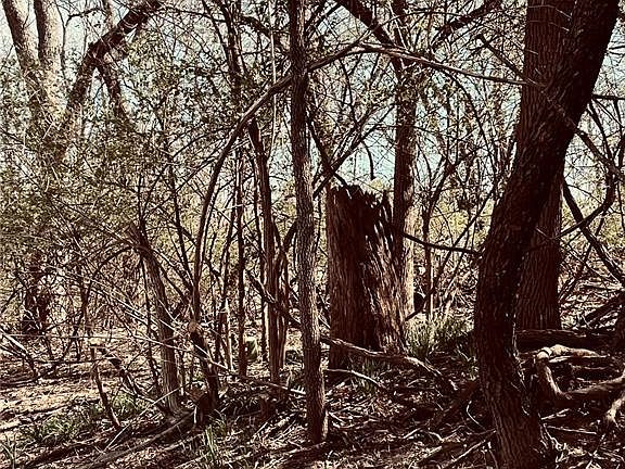 4th image of 10726 Ridge Ave