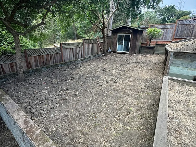 All the way in the back yard