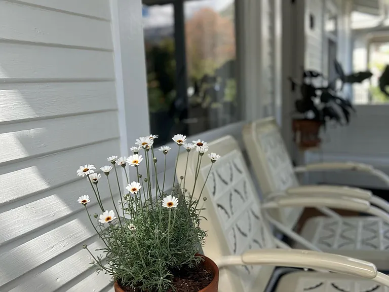 511 Drown Ave — Photo 37