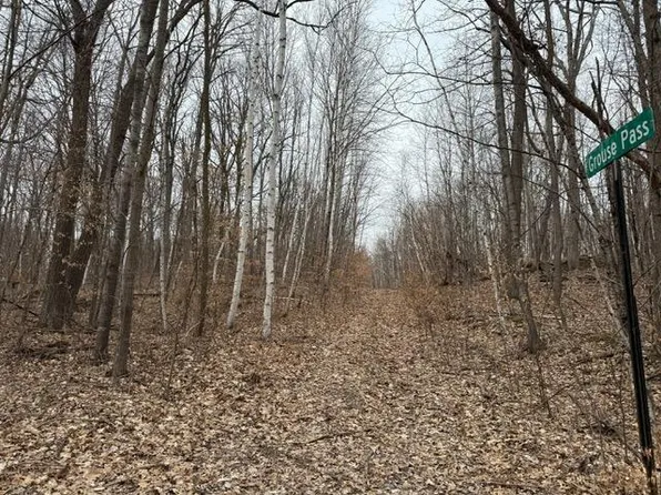 Lots 51 53 55 61 Grouse Pass, Randall, MN 56475