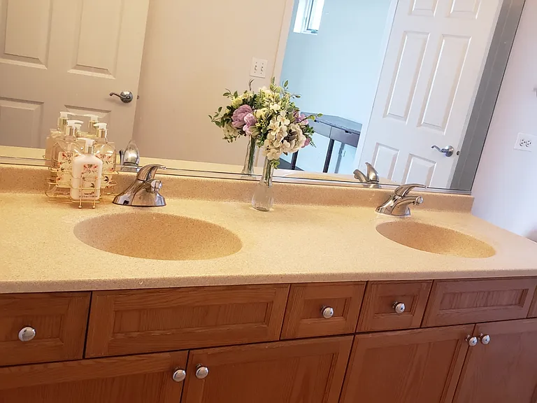 Double bathroom sink