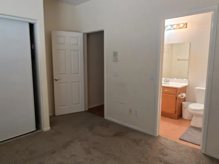 26232 Palm Tree Ln — Photo 9