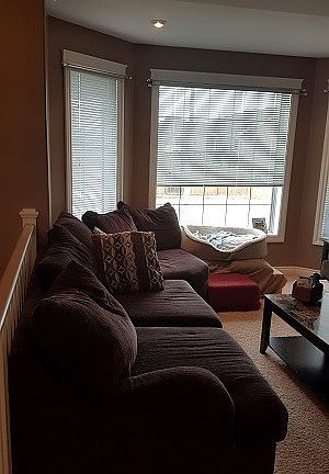 4th image of 503 BA Ens Ln