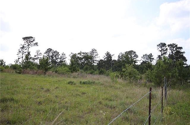 2nd image of 433 Pine Tree Loop