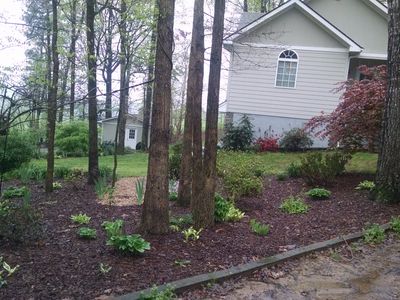 295 Lumpkin View Dr, Cleveland, GA, 30528