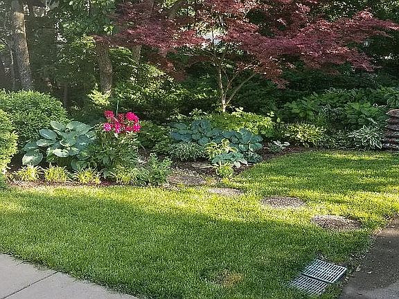 5th image of 3016 Tamarak Dr