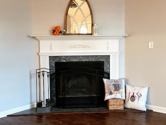 Wood burning fireplace