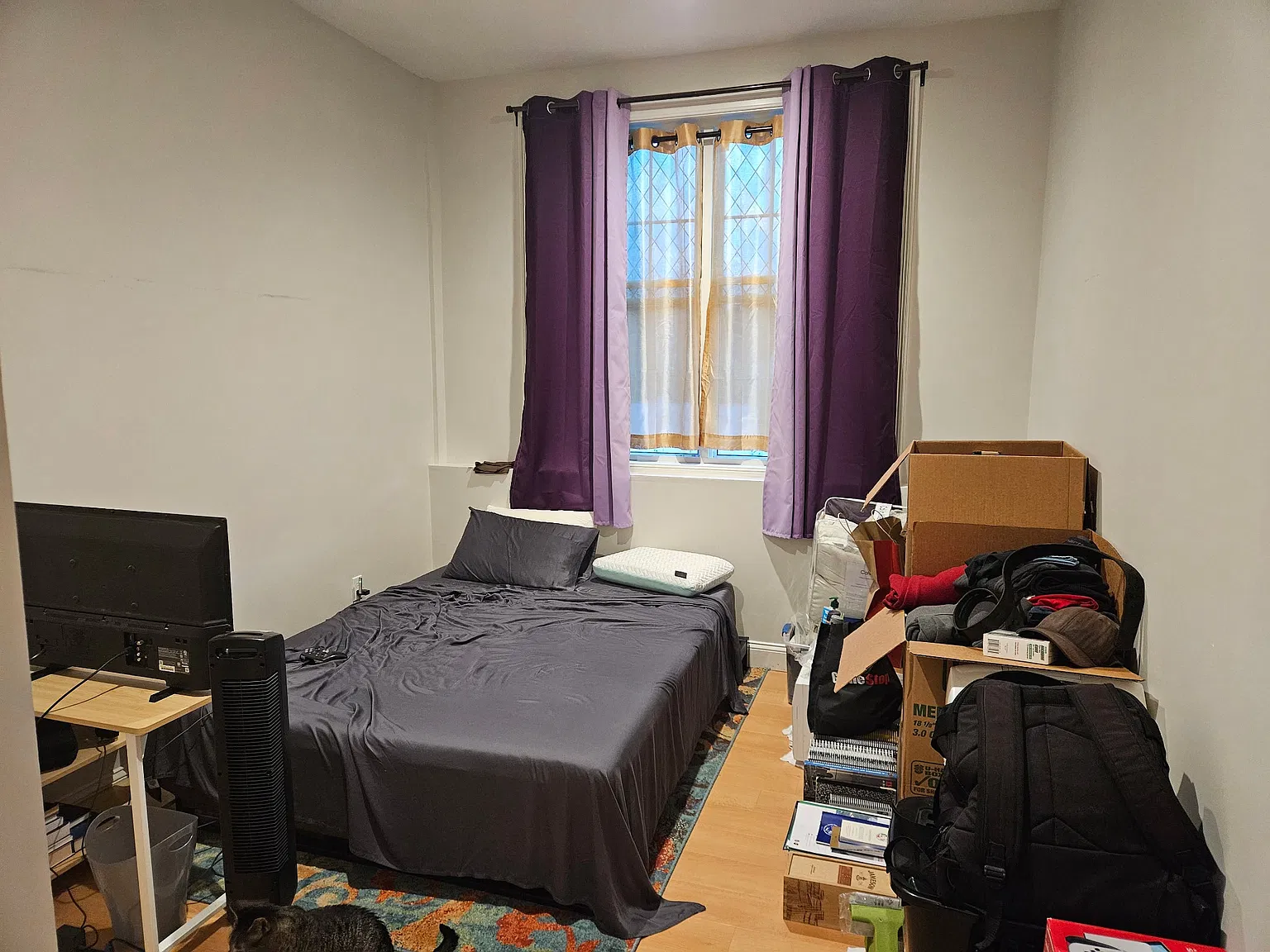 2 bed, 915 sqft, $2,300 — Photo 4