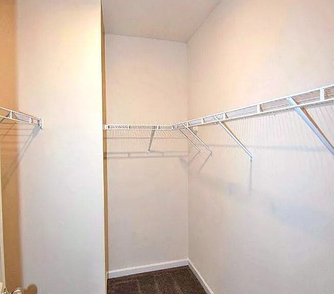 309 Petunia Dr — Photo 19