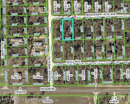 2nd image of 11352 Mississippi Kite Ave