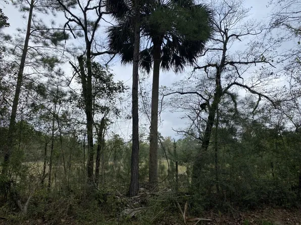 Wakulla Arran Rd, Crawfordville, FL 32327