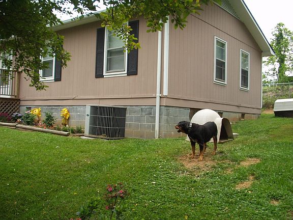 Side of house away from street