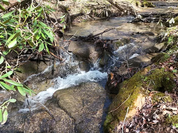 LOT-44A Synacia Dr, Mineral Bluff, GA 30559