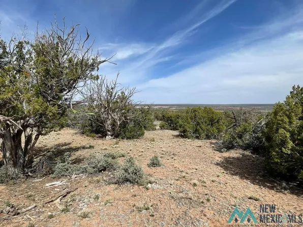 Tbd Cousins Rd, Vanderwagen, NM 87326