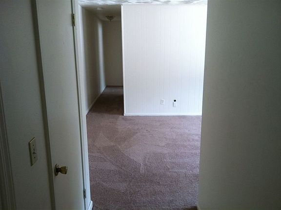 photo5