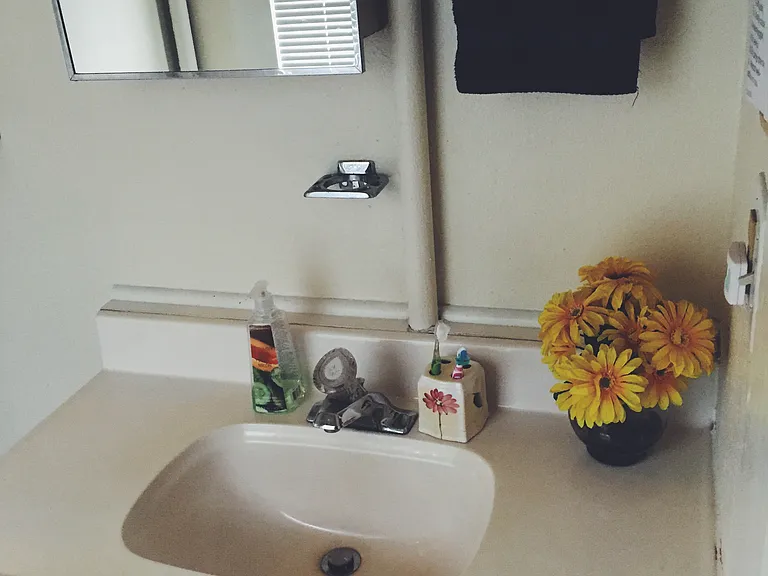 Bathroom vanity