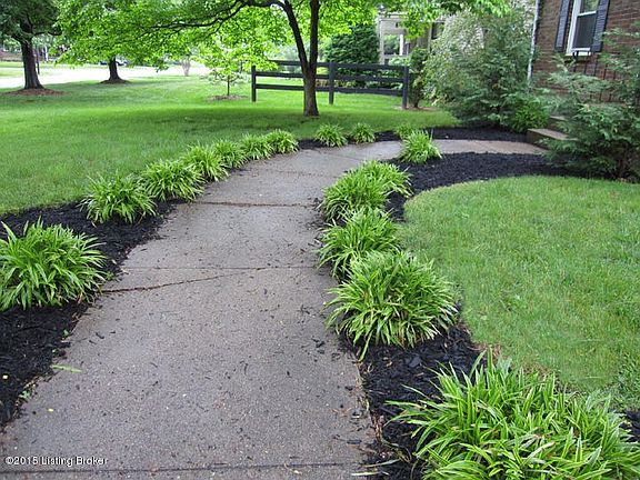 Entry Landscaping