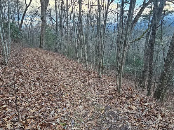 9 Seay Mountain Rd, Waynesville, NC 28785