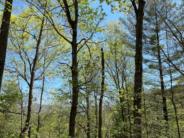 Sanctuary Hl, Blairsville, GA 30512