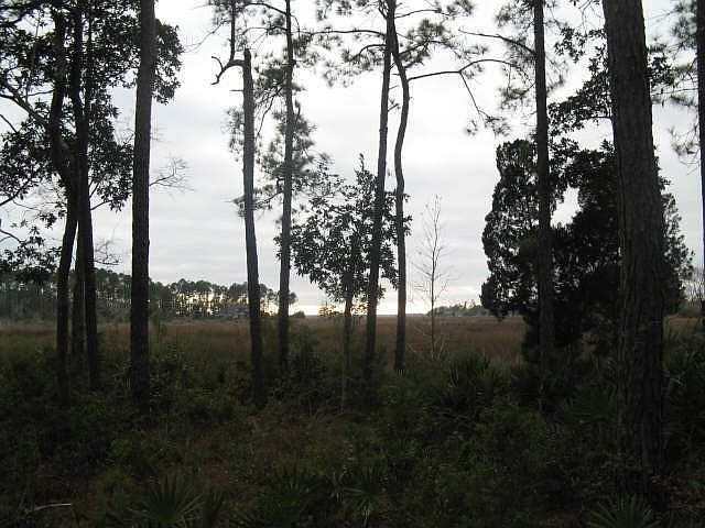 2nd image of 406 Millers Branch Dr