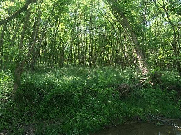 5th image of 1834 Highway 75