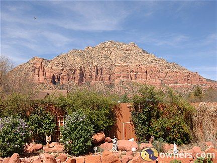 View of Lee Mountain from back yard