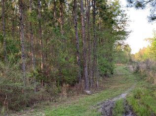 237TH Drive, Undetermined-Suwannee, FL 32060