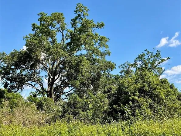 Paige Ave, New Smyrna Beach, FL 32168