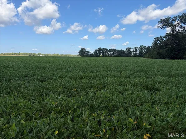 0 Oak Grove Rd, Alma, IL 62807