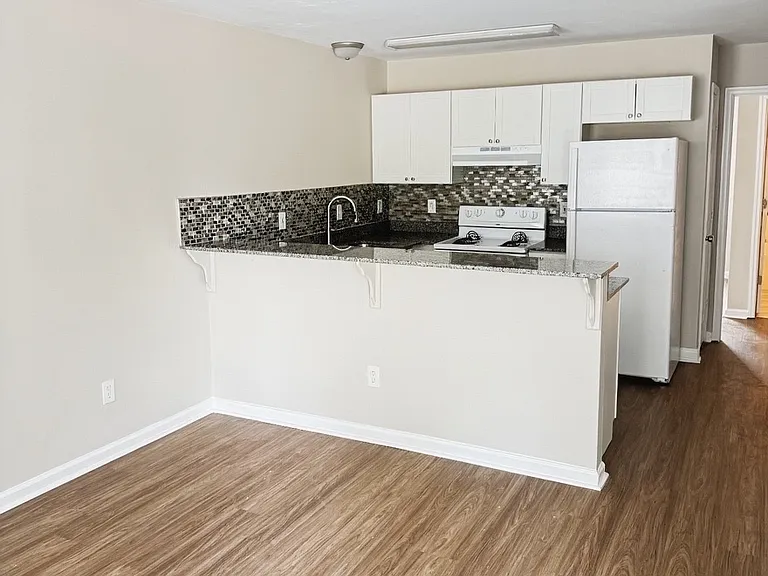 1308 Pinellas St #1 — Photo 3