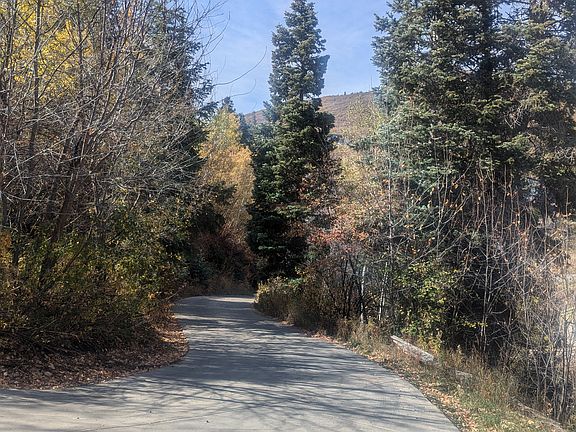 Looking down the heated driveway