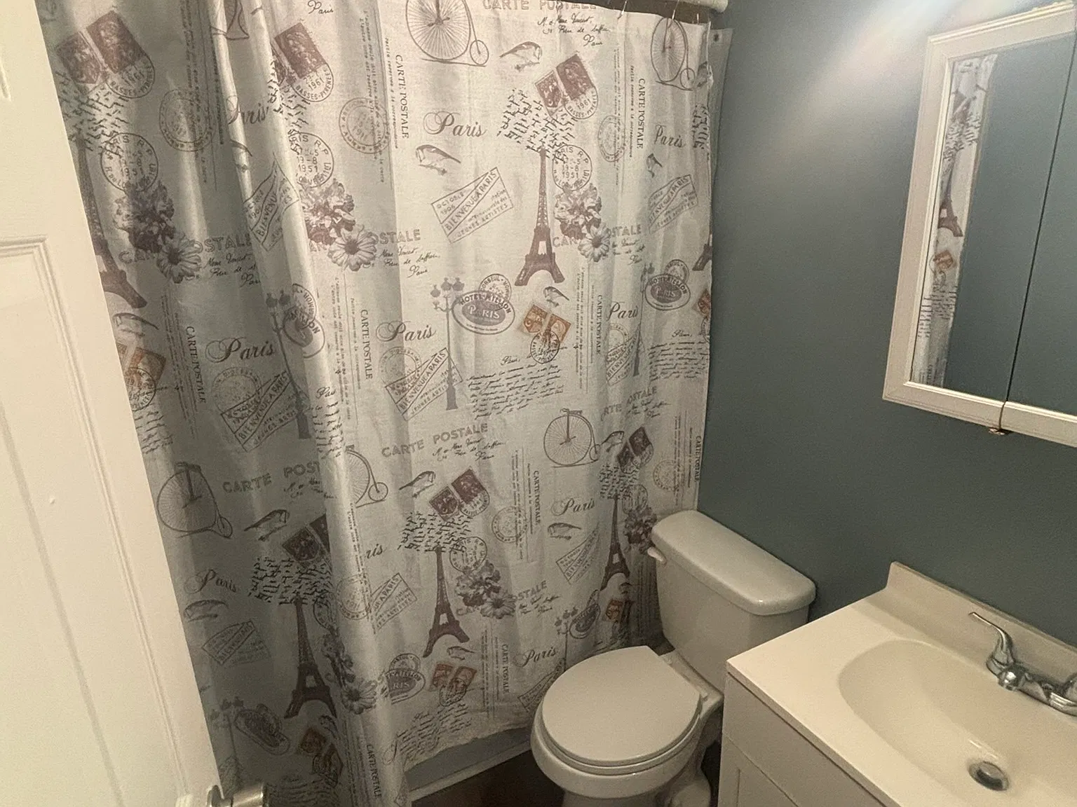 3 bed, 900 sqft, $1,300 — Photo 4