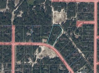 Sage Thrasher Ave, Weeki wachee, FL 34614