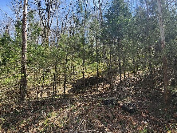 5th image of 0 Wilson Hollow Rd