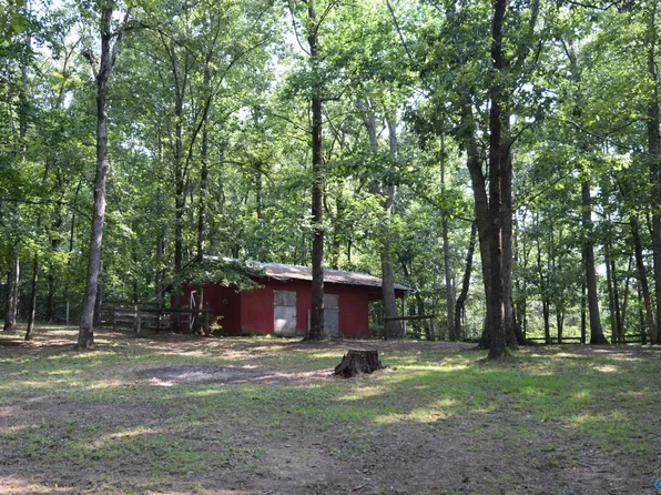 1.77 Acres Bluff Pointe Rd, Guntersville, AL 35976