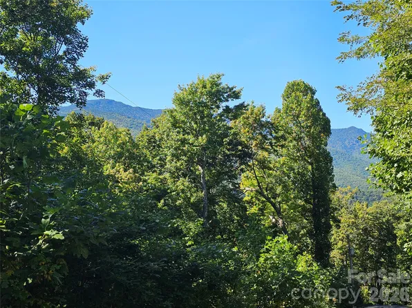 102 Big Ridge Rd #102, Burnsville, NC 28714