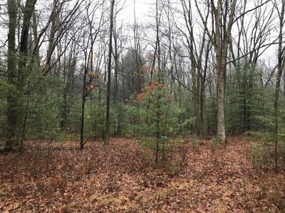 67 Crow Ln, Strattanville, PA, 16258